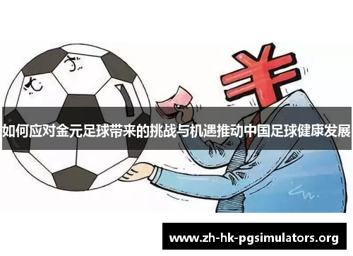 如何应对金元足球带来的挑战与机遇推动中国足球健康发展