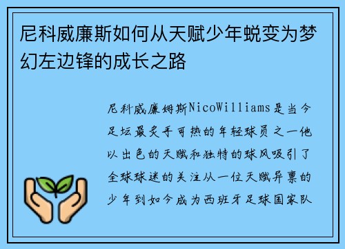 尼科威廉斯如何从天赋少年蜕变为梦幻左边锋的成长之路