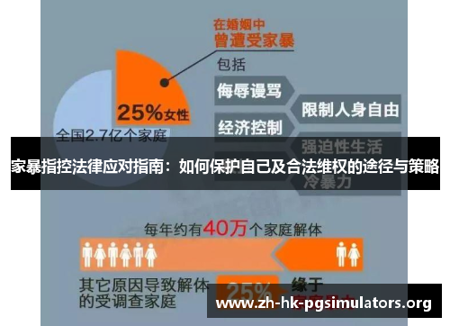 家暴指控法律应对指南：如何保护自己及合法维权的途径与策略