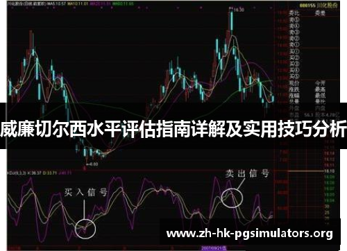 威廉切尔西水平评估指南详解及实用技巧分析