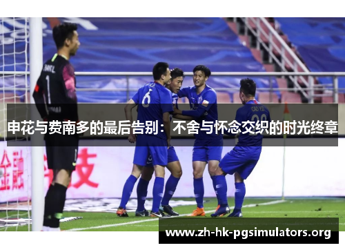 申花与费南多的最后告别：不舍与怀念交织的时光终章