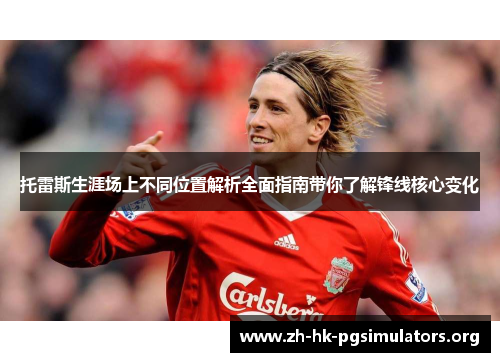 托雷斯生涯场上不同位置解析全面指南带你了解锋线核心变化