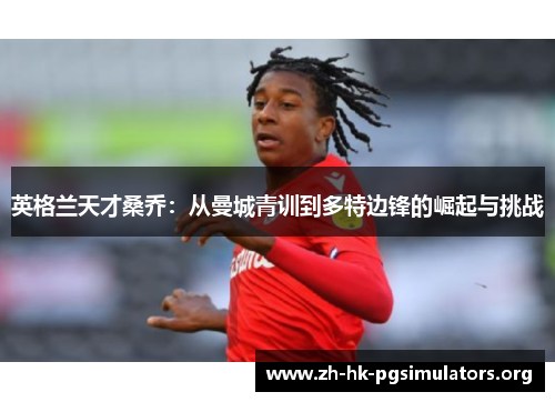 英格兰天才桑乔：从曼城青训到多特边锋的崛起与挑战
