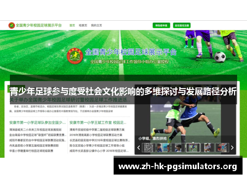 青少年足球参与度受社会文化影响的多维探讨与发展路径分析